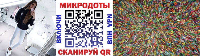 закладки  Цоци-Юрт  Псилоцибиновые грибы Psilocybine cubensis 